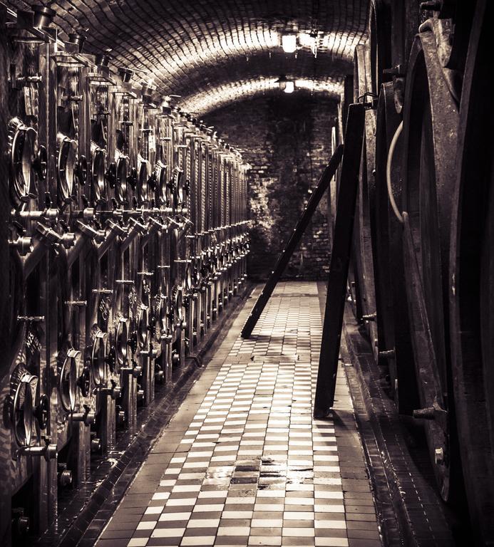 Penzion Vino Hruska Blatnička المظهر الخارجي الصورة